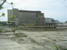 img1050.jpg