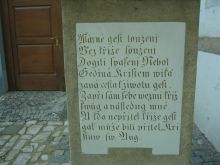 img1118.jpg